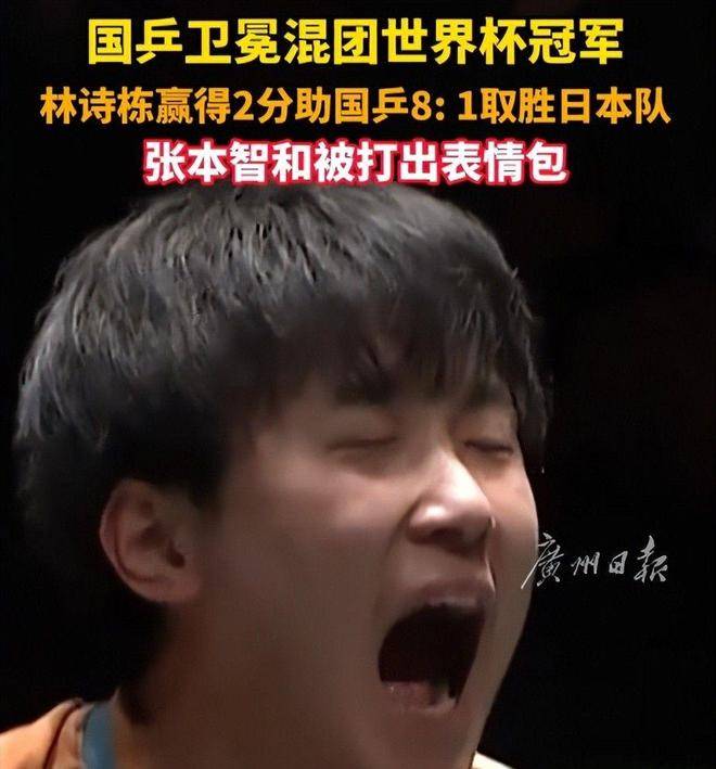 中国队翻盘日本队，张本智和刷新纪录的简单介绍