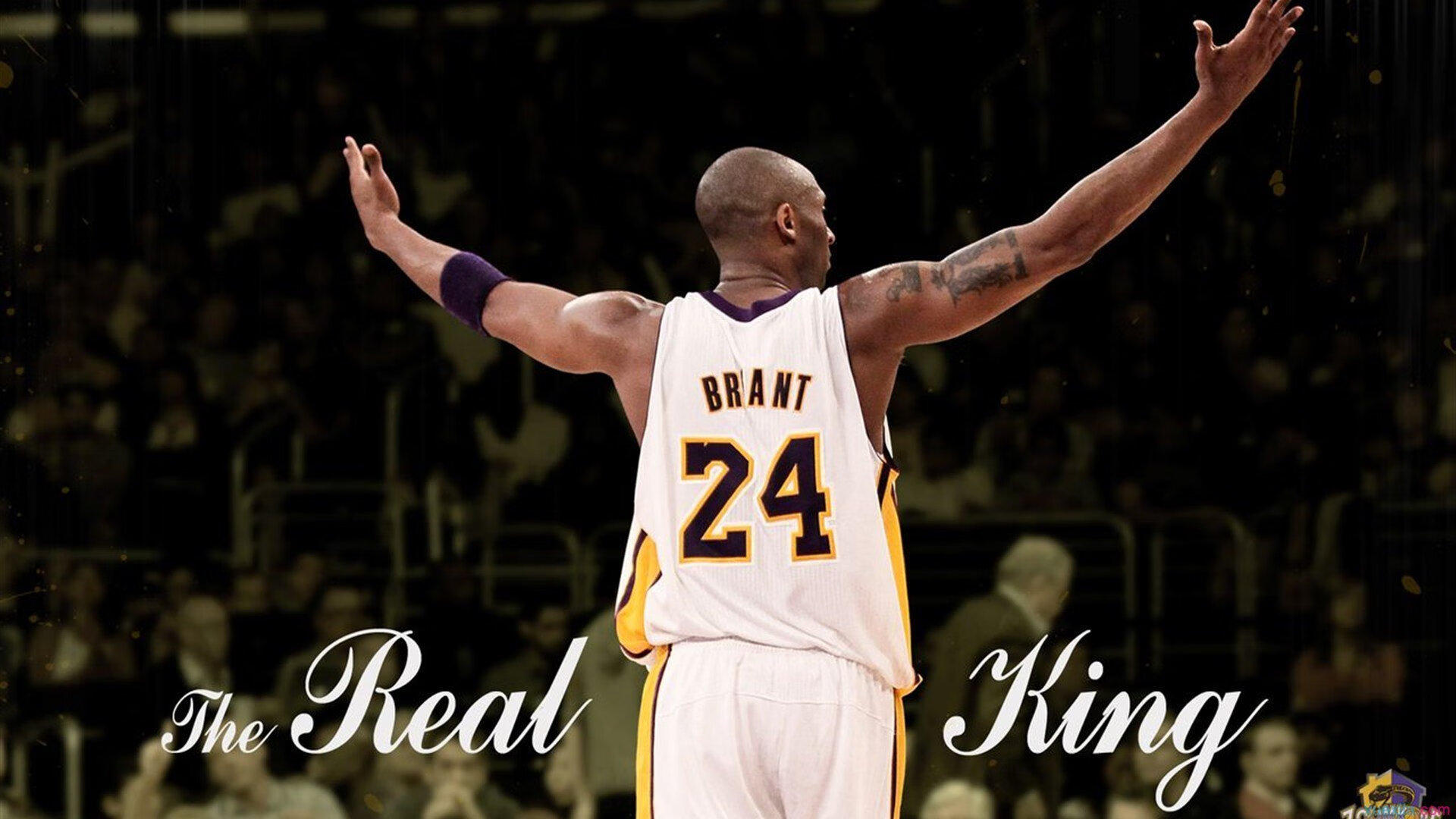 赛道与赛场，加克波在F1街道赛的统治与美国队的绝地反击